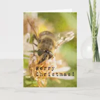 Bee Merry A Honey Bee Christmas Holiday Card