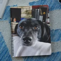 Add Your Dog's Photo to this Custom Planner