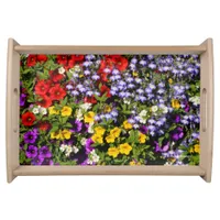 A Colorful Pastiche of Summer Annual Flowers Serving Tray