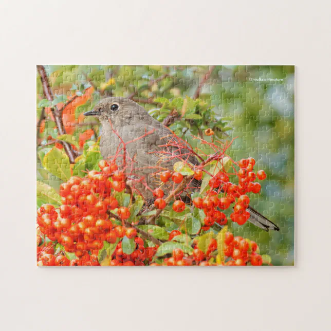 Townsend's Solitaire Songbird on the Pyracantha Jigsaw Puzzle