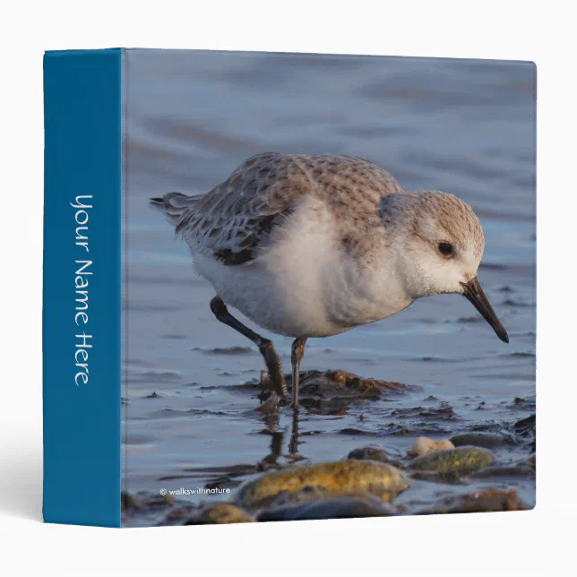 Cute Sanderling Sandpiper Strolls Wintry Beach Binder