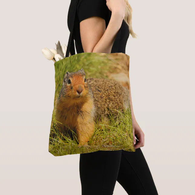 A Columbian Ground Squirrel Approaches Tote Bag