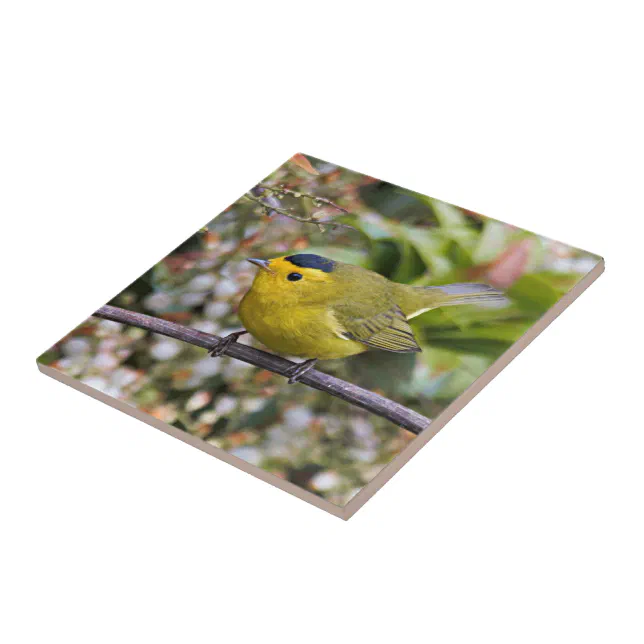 Cute Wilson's Warbler Songbird on the Grapevine Ceramic Tile