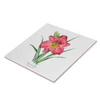 Red Daylily Botanical Art Style Ceramic Tile