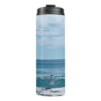 Coastal Beach Bird Photography Thermal Tumbler