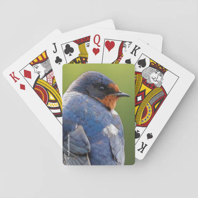 Stunning Barn Swallow Songbird on a Branch Poker Cards