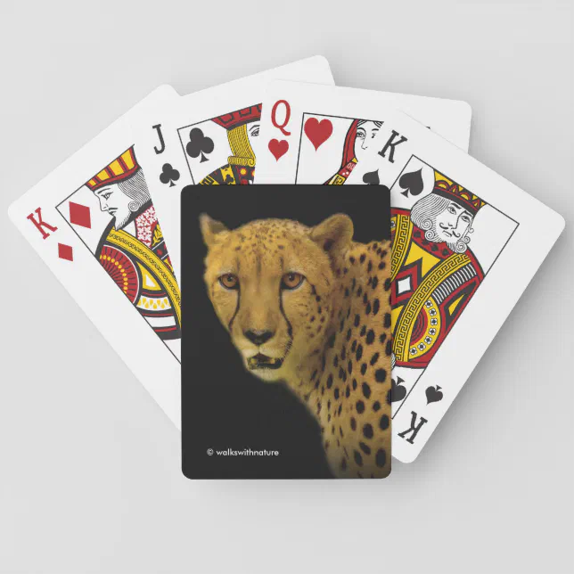 Trading Glances with a Magnificent Cheetah Poker Cards