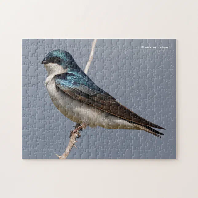 Profile of a Male Tree Swallow in the Sun Jigsaw Puzzle