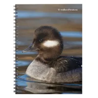 Cute Bufflehead Duck on Sunlit Waters Notebook