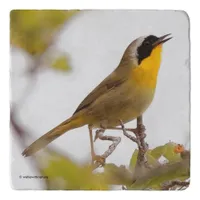 Beautiful Common Yellowthroat Warbler Songbird Trivet