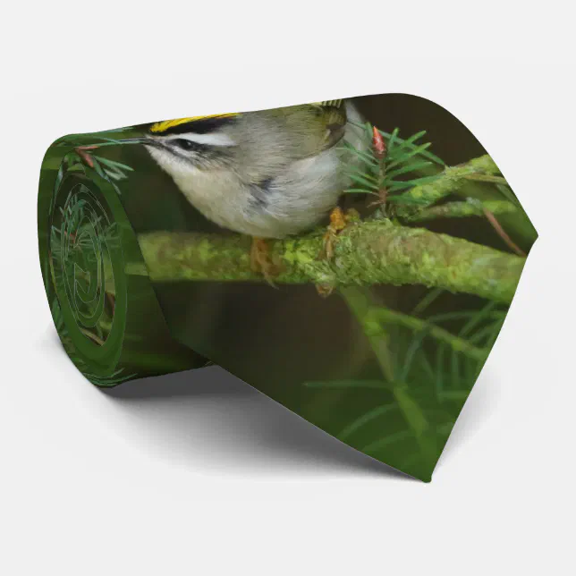 Cute Little Kinglet Causes a Stir in the Fir Neck Tie