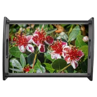 A Quartet of Pineapple Guava / Guavasteen Flowers Serving Tray