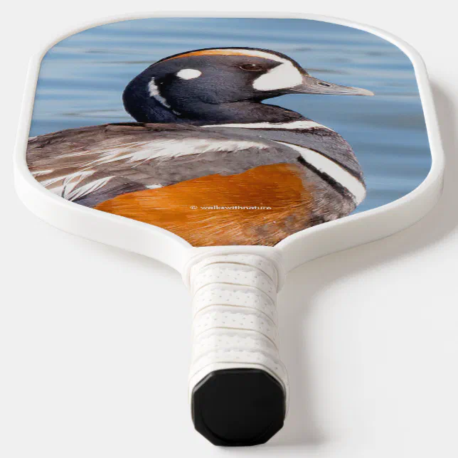 Beautiful Harlequin Duck on the Rock Pickleball Paddle