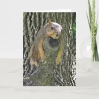 Hope you feel Better Soon, Funny Squirrel Card