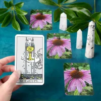 Bumblebee on Eastern purple Coneflower Tarot