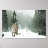 Majestic Snow Leopard in the Snow Poster