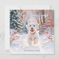 Cute Sealyham Terrier Dog In Snow Merry Christmas Holiday Card