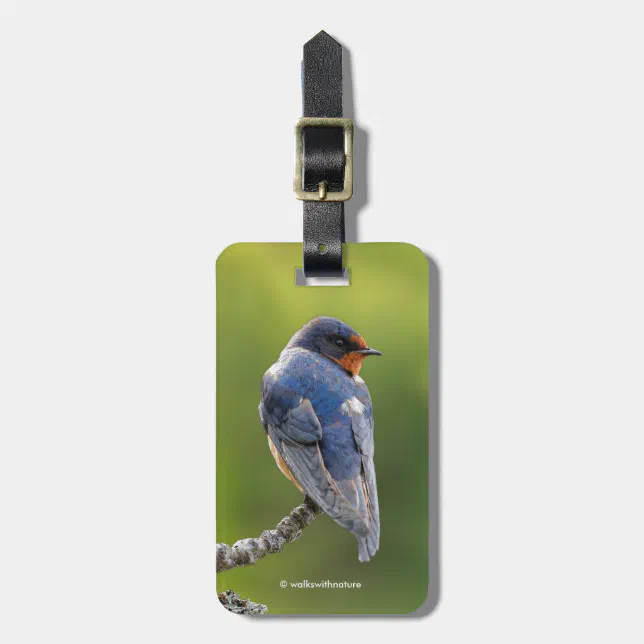 Beautiful Barn Swallow on a Branch Luggage Tag