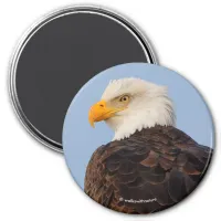 Beautiful Bald Eagle in a Tree Magnet