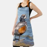 Beautiful Harlequin Duck at the Beach Apron