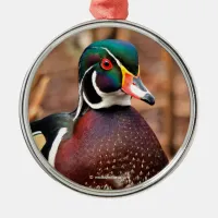Beautiful Male Wood Duck in the Woods Metal Ornament