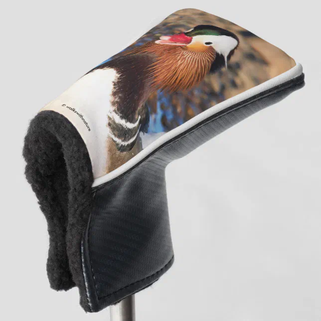 Beautiful Chatty Mandarin Duck on the Shore Golf Head Cover