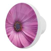 Colorful Medley of African Daisies Flowers Ceramic Knob