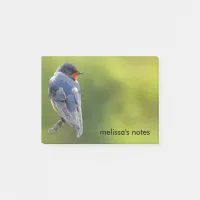 Beautiful Barn Swallow on a Branch Post-it Notes