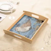 Beautiful Dunlin Sandpiper at the Spring Beach Serving Tray