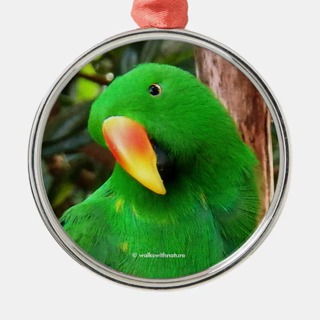 "The Green Orator" Eclectus Parrot Metal Ornament