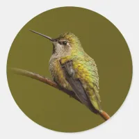 Anna's Hummingbird on the Scarlet Trumpetvine Classic Round Sticker