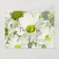 Chrysanthemum Thank You Postcard