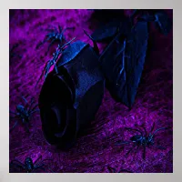 Spooky Black Material Rose, Black Spiders Poster