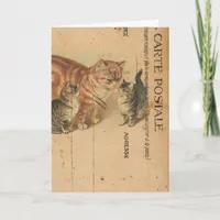 Cats Digital Art Birthday Postcard