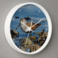 Stunning Dunlin Sandpiper Shorebird at the Beach Clock