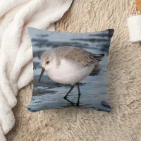 Cute Sanderling Sandpiper at the Winter Beach Throw Pillow