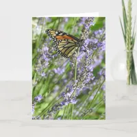 Monarch Butterfly in a Lavender Filed Blank Card