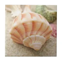 Beach Seashell Photo Tile