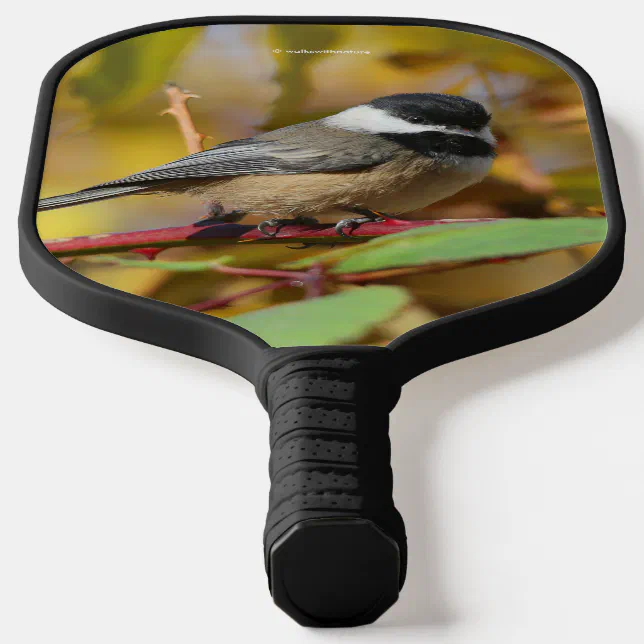 Cute Black-Capped Chickadee on the Branch Pickleball Paddle