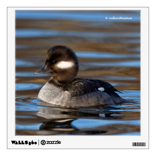 Sweet Bufflehead Duck on Sunlit Waters Wall Decal