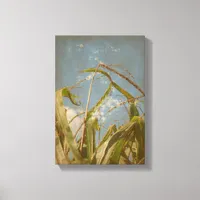 Corn Canvas Print