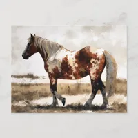 Pinto Horse Watercolor Postcard