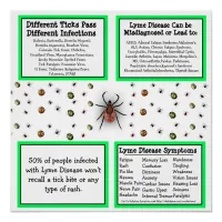 Lyme disease Information Poster