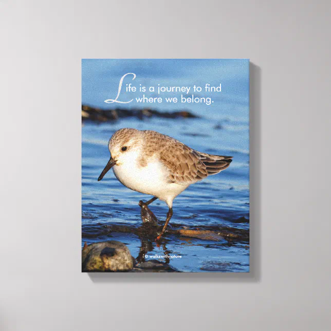 Motivational "Life is a Journey" Sanderling Canvas Print