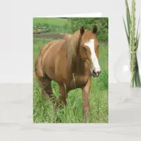 Dunnit, Horse Birthday Card