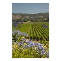 Vineyard and Purple Flowers Photo Print