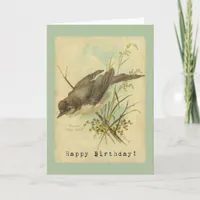 Vintage Bird, Birthday Card