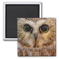 Cute Little Northern Saw Whet Owl Magnet