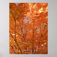 Pretty Orange Fall Leaves Poster