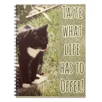 Taste of Life Motivational Cat Photo Quote Notebook